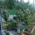 Little Joy , Loc Mala Radost Bihać